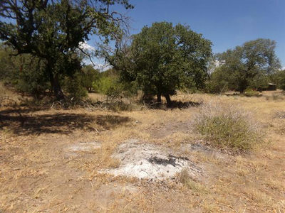 Lot 140 Pine Lane — photo 3