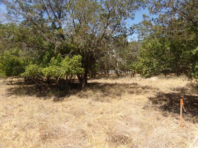 Lot 141 Pine Lane — photo 3