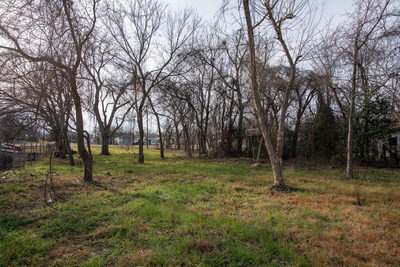 418 S Avenue D Ave — photo 5