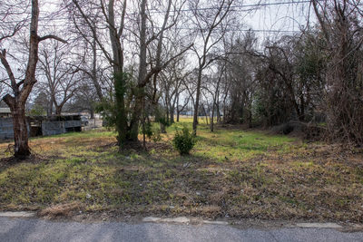 418 S Avenue D Ave — photo 4