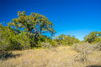 00 W McCarty Ln — photo 5