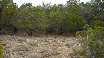 7700 Bar-K Ranch Rd — photo 5