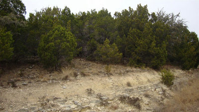 7700 Bar-K Ranch Rd — photo 2