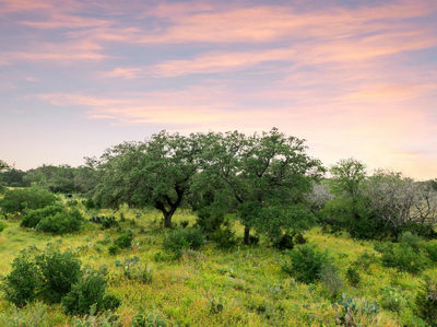 2308 County Road 414 — photo 5