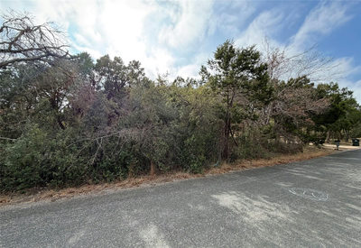 14701 old anderson mill Rd — photo 4