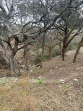 3705 High Line Dr — photo 2