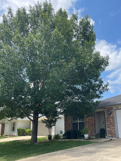 280 Spruce Dr — photo 5
