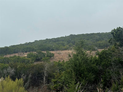 11205, 11209, 11213 Cherry Hollow Xing — photo 2
