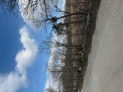 15209 Jacobson Rd — photo 2