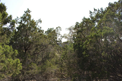 251 Serenity — photo 4
