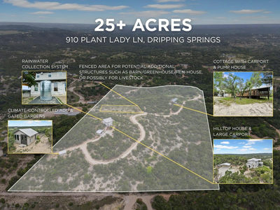 910 Plant Lady Ln — photo 3