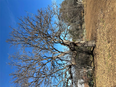 0 Castleshoals Dr — photo 2