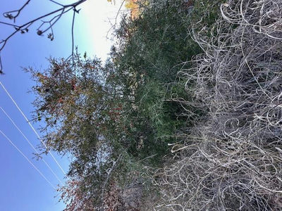 0 TBD Kula Ct — photo 2