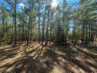 Lot 11 Hickory Ridge Dr — photo 4