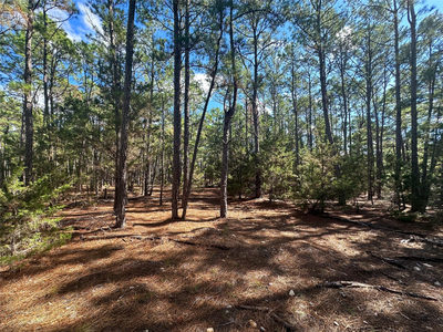 Lot 11 Hickory Ridge Dr — photo 3