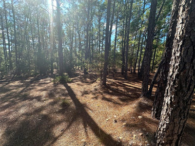Lot 11 Hickory Ridge Dr — photo 2