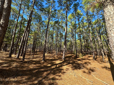 Lot 12 Hickory Ridge Dr — photo 2