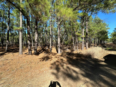 Lot 12 Hickory Ridge Dr — photo 4