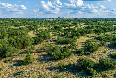 1223 Paleface Ranch Rd — photo 5