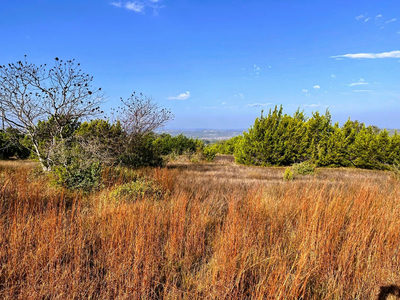 Lot 7 W Flying Owl Dr — photo 2