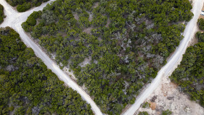 20605 Telegraph Pass — photo 5