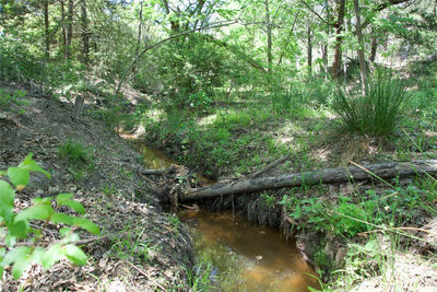 1035 Old Sayers Rd — photo 5