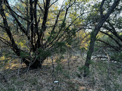 21448 Santa Rosa Ave — photo 4
