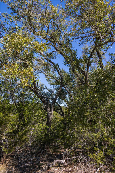 TBD Caliche Rd — photo 5