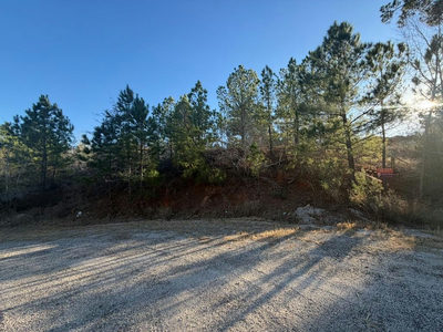 Lot 181 Keo Kea Ct — photo 2