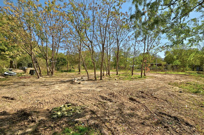 2004 Whirlaway Dr — photo 4