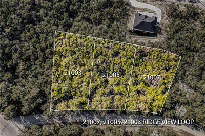 21003 Ridgeview Loop — photo 3