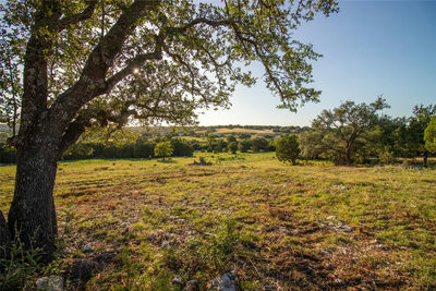 4237 County Road 330 — photo 5