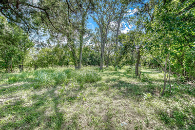 722 S Lbj Dr — photo 3