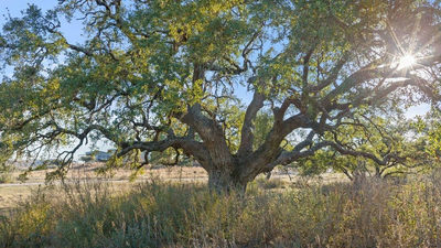 885 Stanton Rd — photo 5