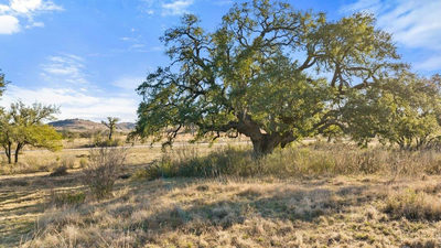 885 Stanton Rd — photo 4