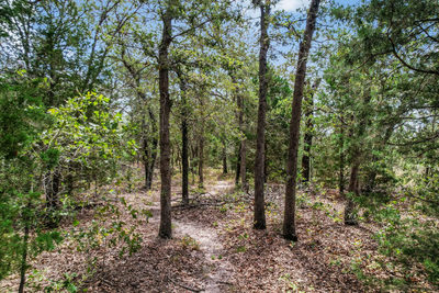 TBD Christensen Rd — photo 2