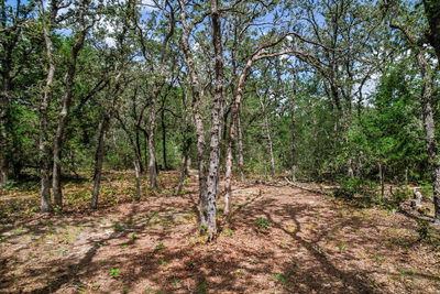 TBD Christensen Rd — photo 3