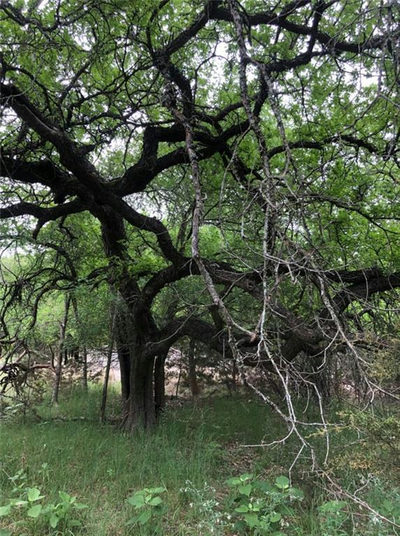 75 E Valley Springs Rd — photo 2
