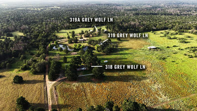 318 Grey Wolf Ln — photo 3