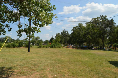 245 Flaming Oak Dr — photo 5