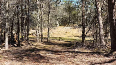 TBD Lytton Ln — photo 3