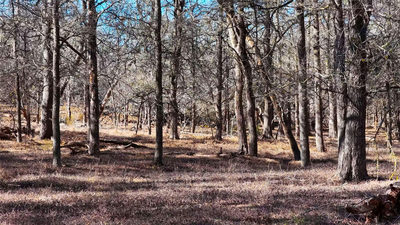 TBD Lytton Ln — photo 4