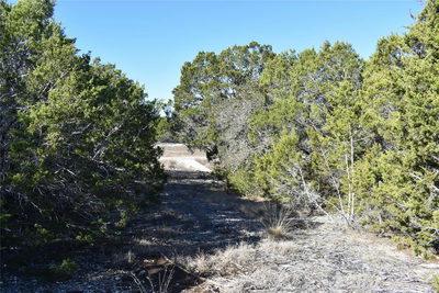 Lot 35 Riparian Elm Rd — photo 3