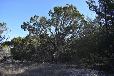 Lot 35 Riparian Elm Rd — photo 5