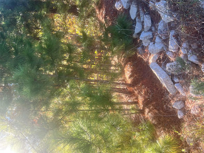 TBD Onini Ct — photo 2