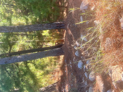 TBD Onini Ct — photo 3