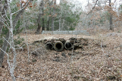 8729 E Fm 20 Hwy — photo 4