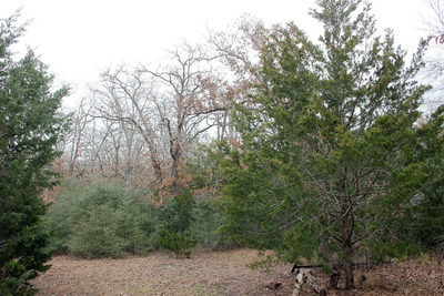 8729 E Fm 20 Hwy — photo 3