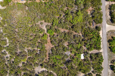 701 Plant Lady Ln — photo 3
