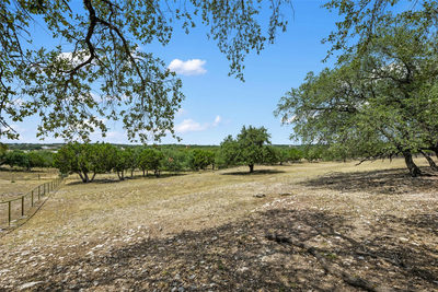 0000 South Oak Forest Dr — photo 5